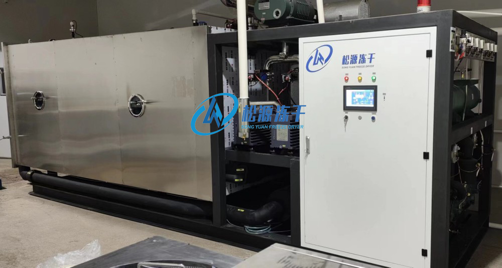 河北安國某藥業有限公司采購松源GZL-20凍干機
